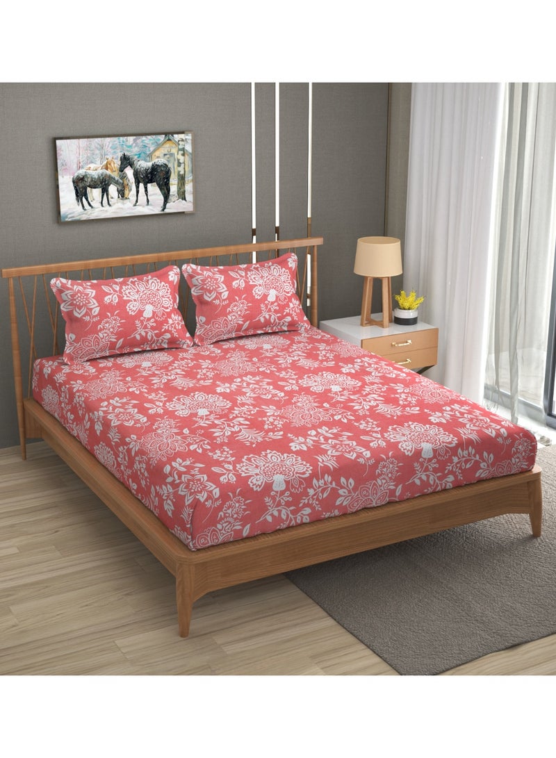 AURIO Premium Queen Size Fitted Bedsheet with 2 Pillowcases – Modern Design – Deep Pocket (180x200+35 cm, 72 x 78 + 10 inch) Soft, Breathable Microfiber Bedding Set for Home Comfort - Image 2